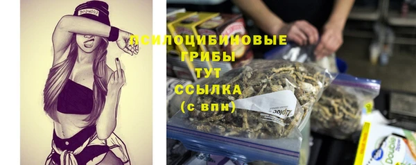 прущие крисы Богородск
