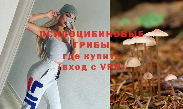 ECSTASY Богородицк