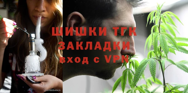 ECSTASY Богородицк